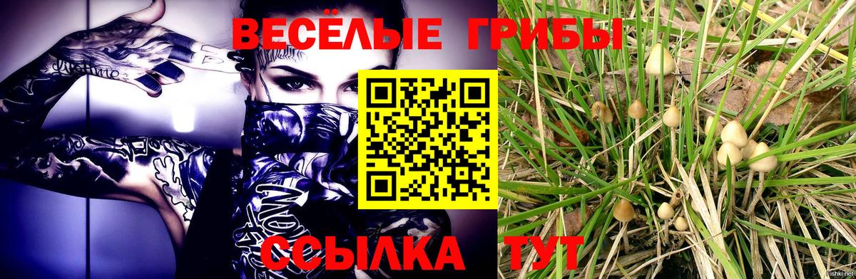 Галлюциногенные грибы мицелий Отрадное